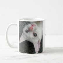 Kitten Mug, Funny Mug