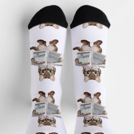 Kitten News Socks Socken
