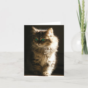 Kitten NoteCard Karte