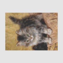 Kitten Painting Henriette Ronner-Knip (1821-1909)