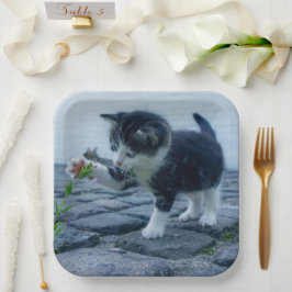 Kitten Pappteller