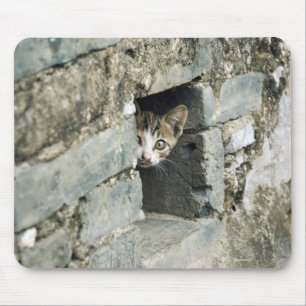 Kitten Peeking out Wall, Yangshuo, Guangxi Mousepad