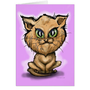 Kitten perse
