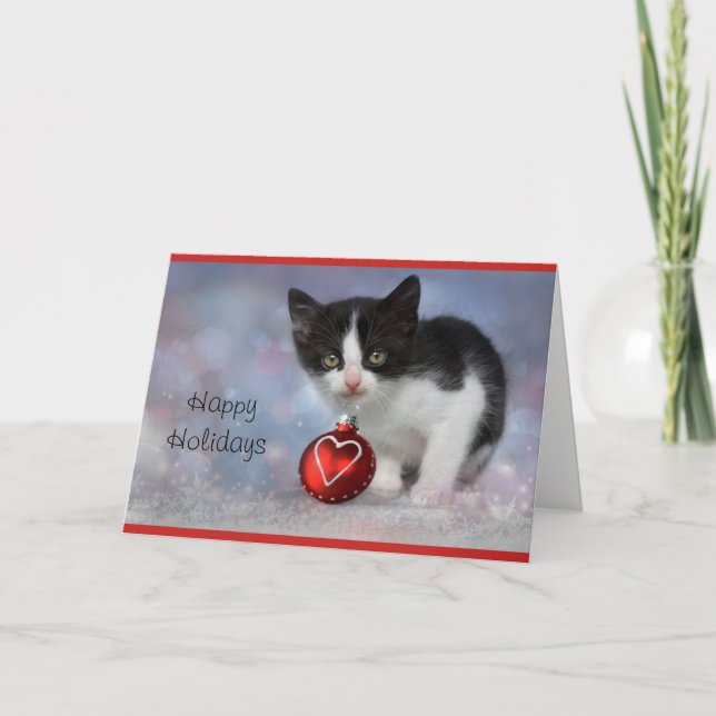 Kitten Personalisierte Ferienkarte Feiertagskarte (Vorderseite)