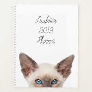 Kitten personnalisé