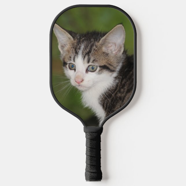 Kitten Pickleball Schläger (Vorderseite)