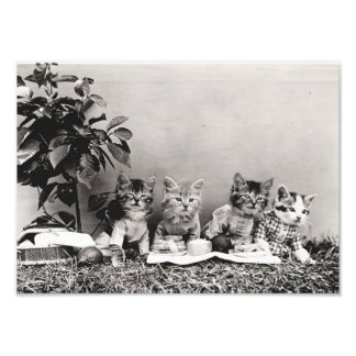 Kitten Picnic Fotodruck
