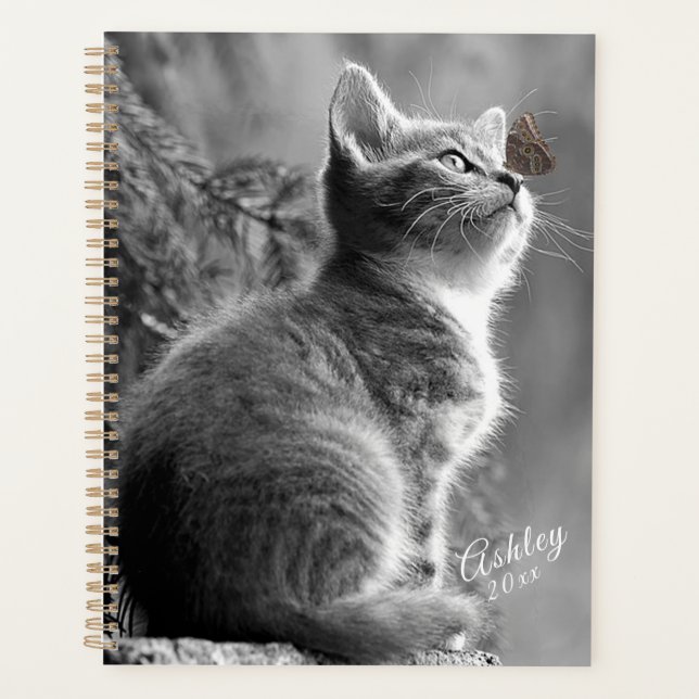 Kitten Planer (Vorderseite)