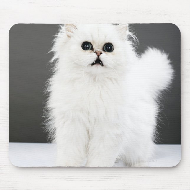 Kitten Portrait Mousepad (Vorne)
