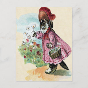 Kitten Postcard Postkarte