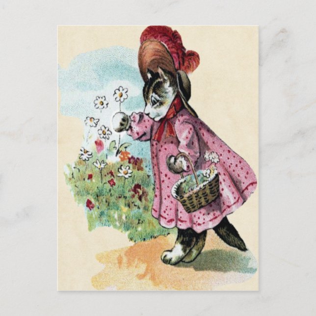 Kitten Postcard Postkarte (Vorderseite)