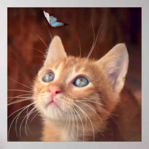 Kitten Poster