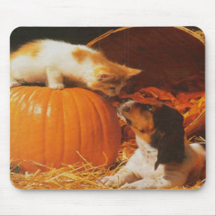 Kitten, Pumpkin und Welpenmousepad Mousepad