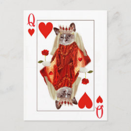 Kitten Queen of Hearts Postcard Postkarte