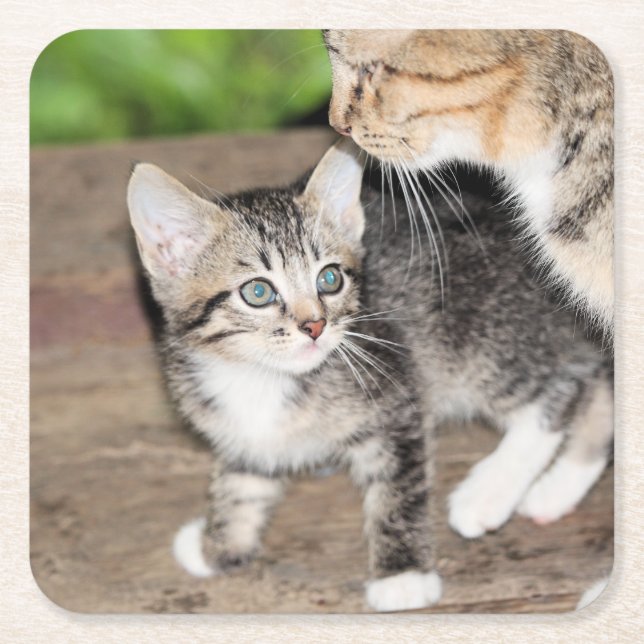 Kitten Rechteckiger Pappuntersetzer (Vorderseite)