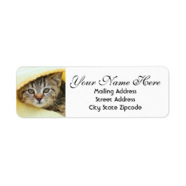 Kitten-Rücksendeadresse verbergen