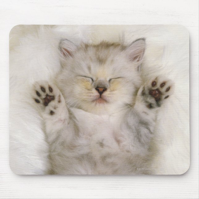 Kitten Schlafen auf einem weißen Teppichboden, hoc Mousepad (Vorne)