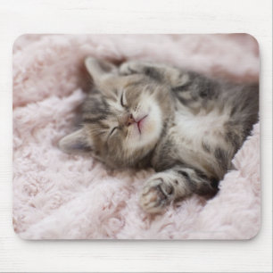 Kitten Schlafen im Handtuch Mousepad