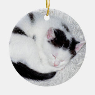 Kitten Schwarz-Weiß Schlafen Foto Keramik Ornament