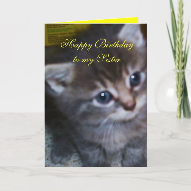 KITTEN, SCHWESTER BIRTHDAY CARD KARTE (Vorderseite)