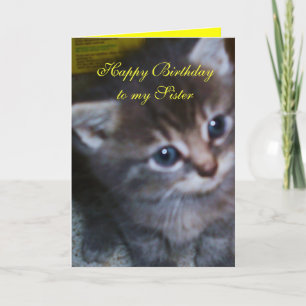 KITTEN, SCHWESTER BIRTHDAY CARD KARTE