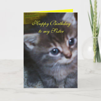 KITTEN, SCHWESTER BIRTHDAY CARD KARTE