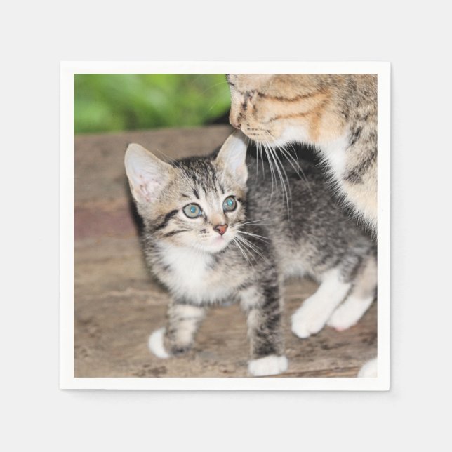 Kitten Serviette (Vorderseite)