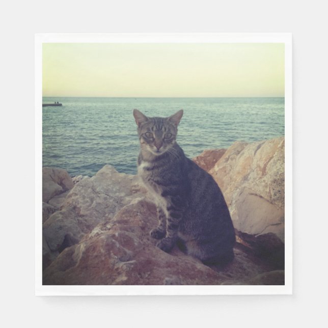 Kitten Serviette (Vorderseite)