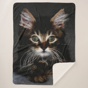 Kitten Sherpadecke