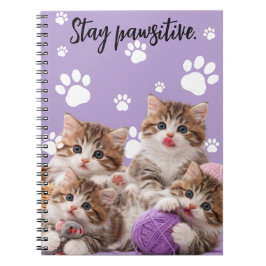 Kitten Stay Pawsitive Notizbuch Notizblock