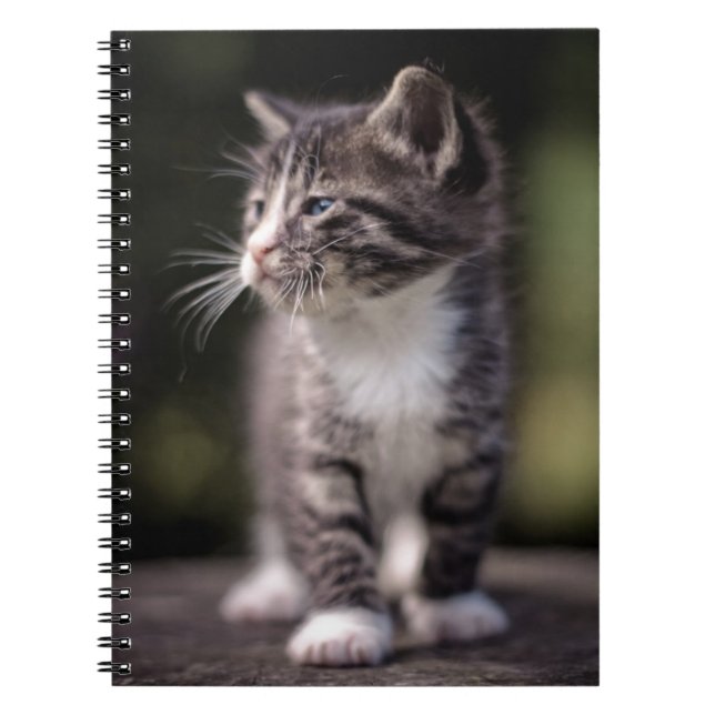 Kitten Stehend Tall Notizblock (Vorderseite)