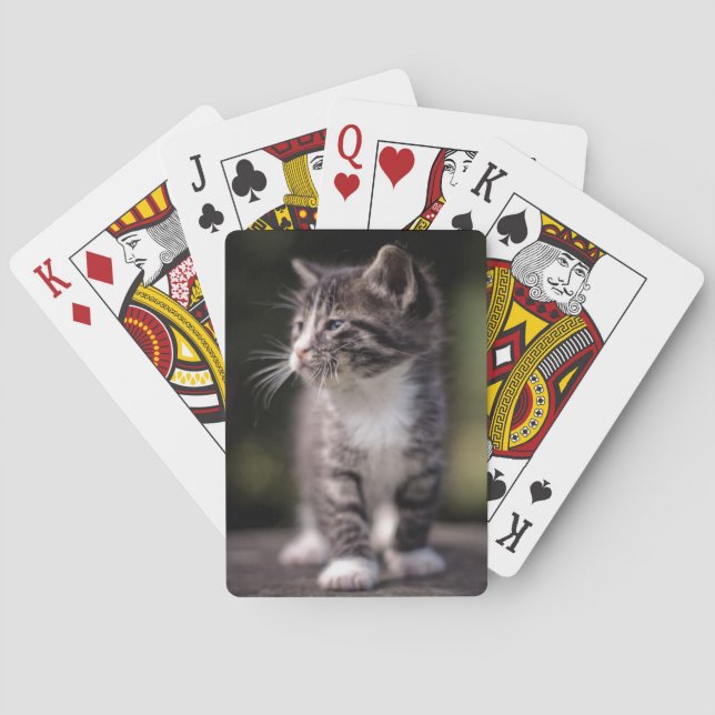 Kitten Stehend Tall Spielkarten (Rückseite)