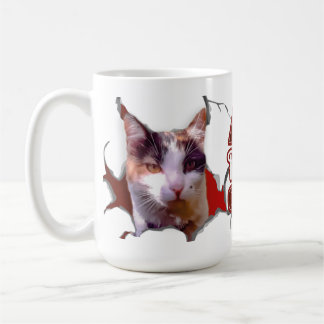 Kitten sticking her head out, ready for Christmas? Kaffeetasse