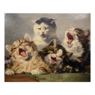 Kitten Symphony von Julius Adam II Poster