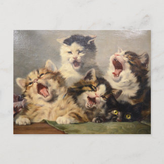 Kitten Symphony von Julius Adam II Postkarte