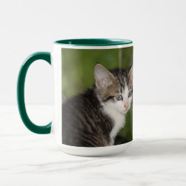 Kitten Tasse
