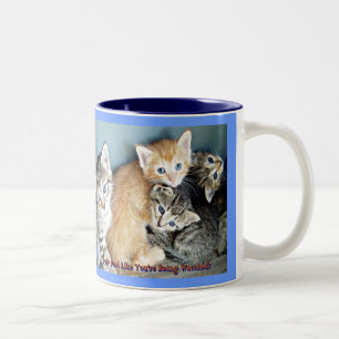 Kitten Tasse