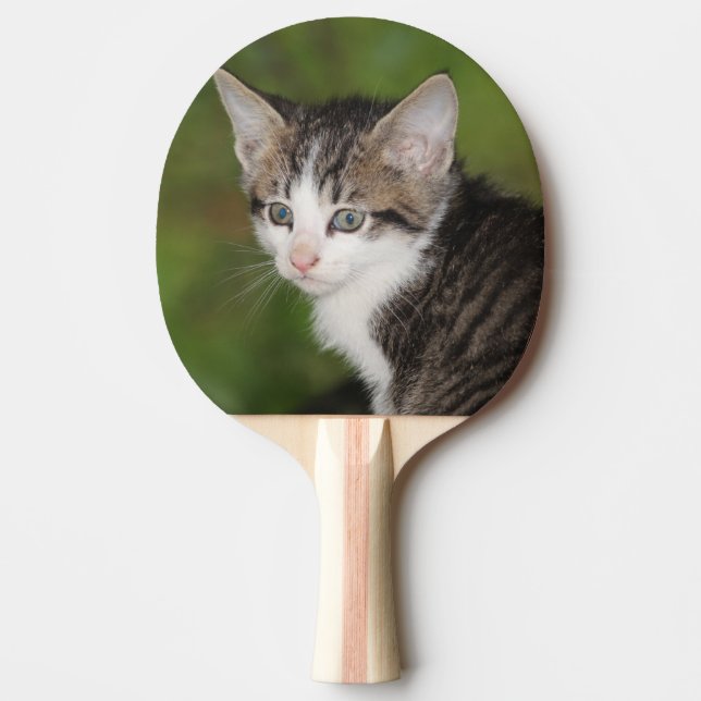 Kitten Tischtennis Schläger (Vorderseite)