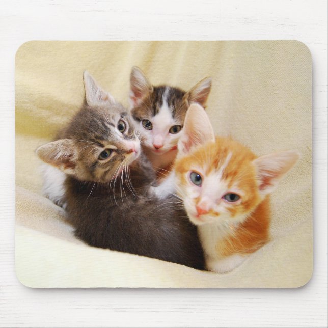 Kitten Trio Mousepad (Vorne)