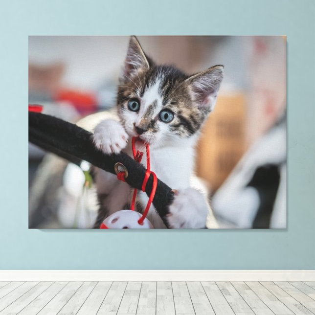 Kitten und Ball Leinwanddruck (Insitu (Holzboden))
