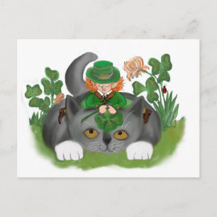 Kitten und Leprechaun Suchen Sie einen Vierblättri Postkarte