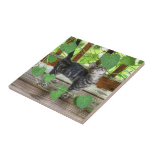 Kitten und Morgenglorien Fliese