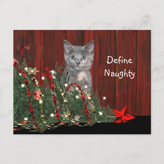 Kitten und toter Weihnachtsbaum Feiertagspostkarte (Vorderseite)
