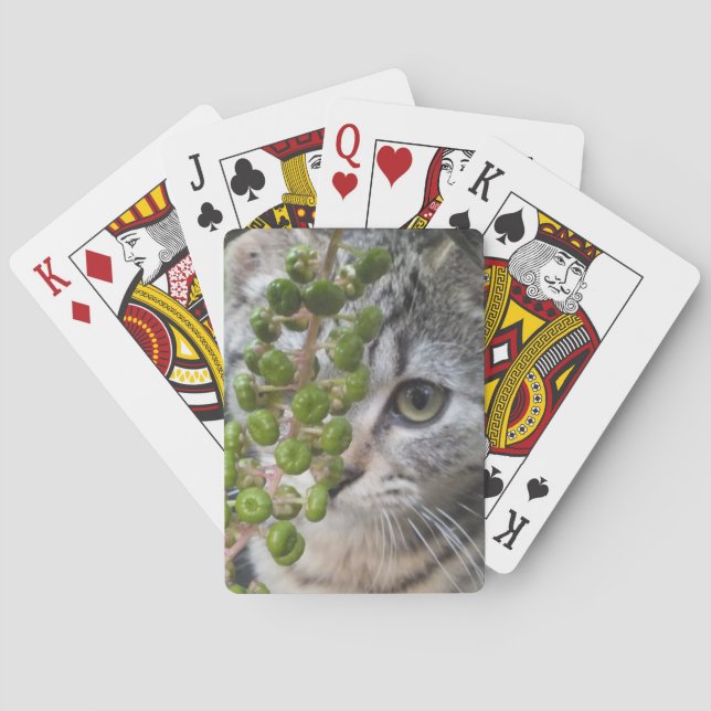 Kitten verbergen spielkarten (Rückseite)