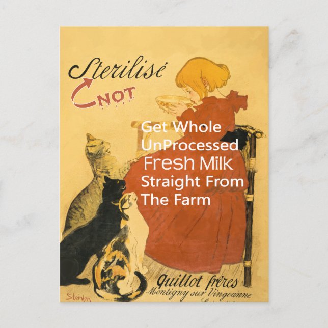 Kitten Vintag Milk Poster Postkarte (Vorderseite)