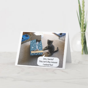 Kitten Weihnachtsüberraschung (innen leer) Karte