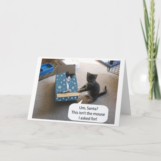 Kitten Weihnachtsüberraschung (innen leer) Karte (Vorderseite)