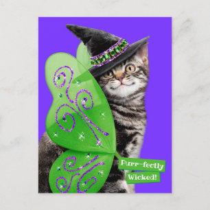 Kitten Witch Fairy Einladungspostkarte
