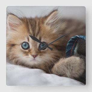 Kitten With Blue Eyes Quadratische Wanduhr
