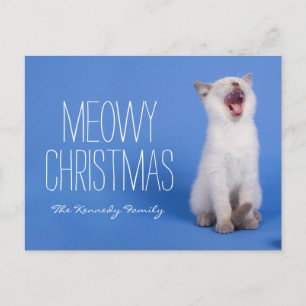 Kitten yawning feiertagspostkarte